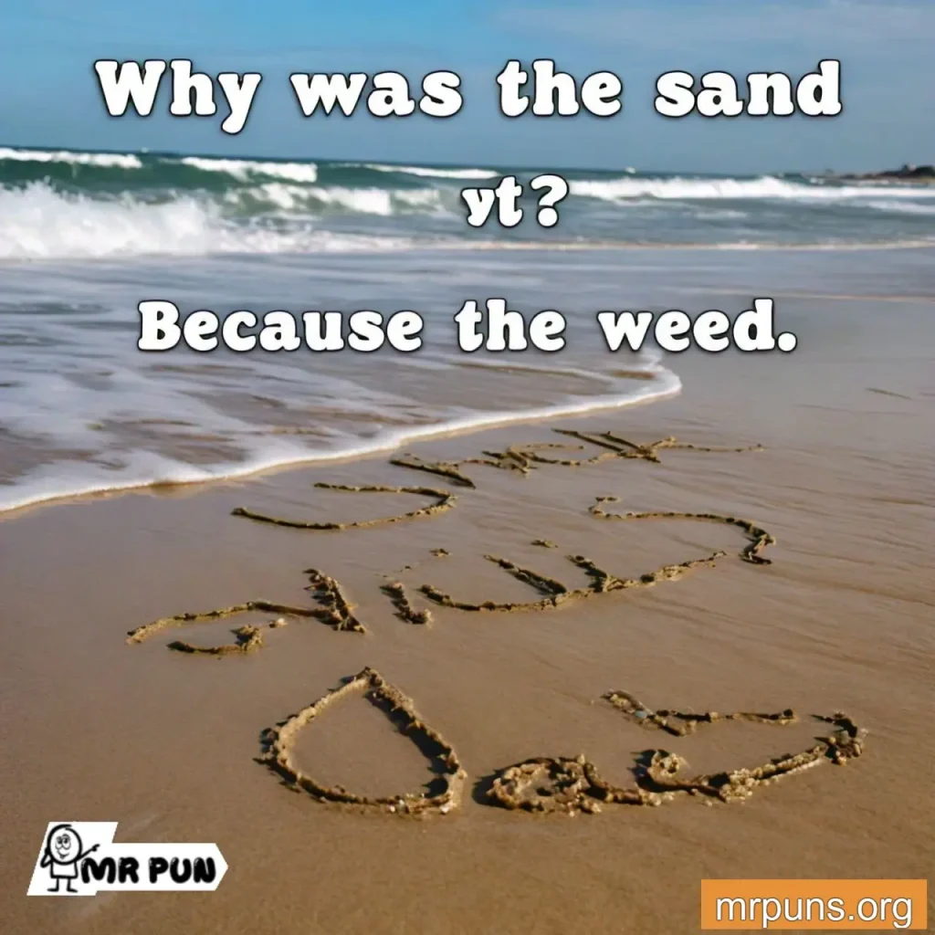 Ocean Beach Puns