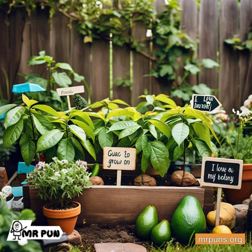 Avocado Gardening and Nature Puns