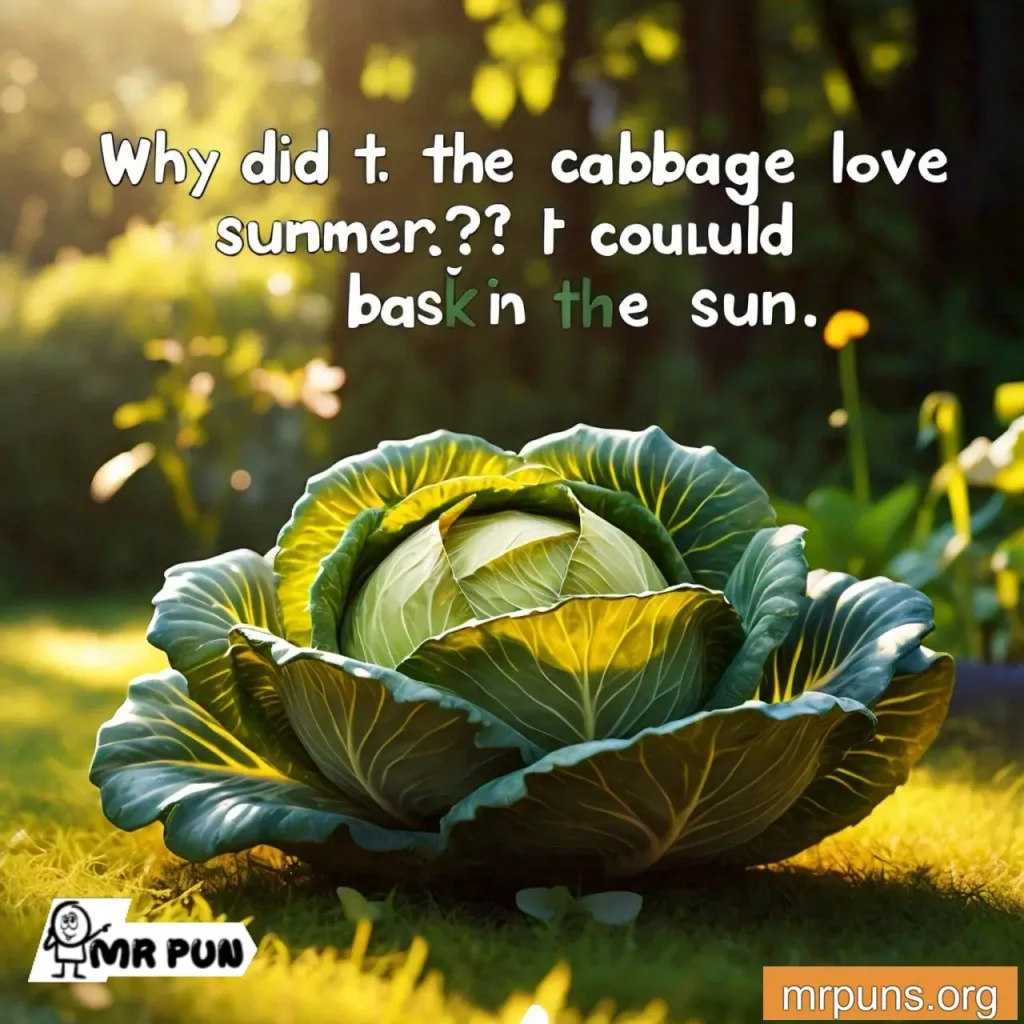 Cabbage and Seasons pun