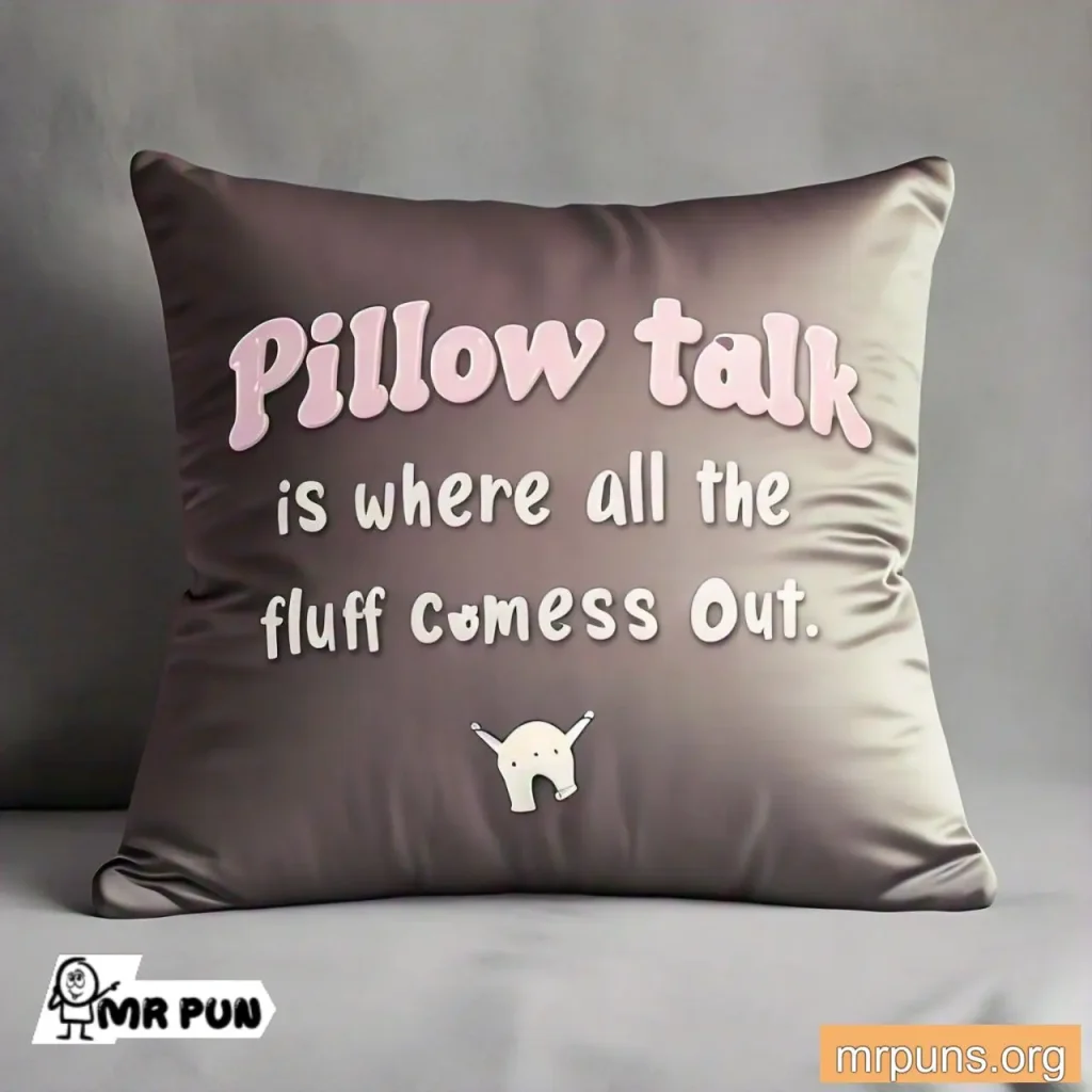 Pillow Talk pun 