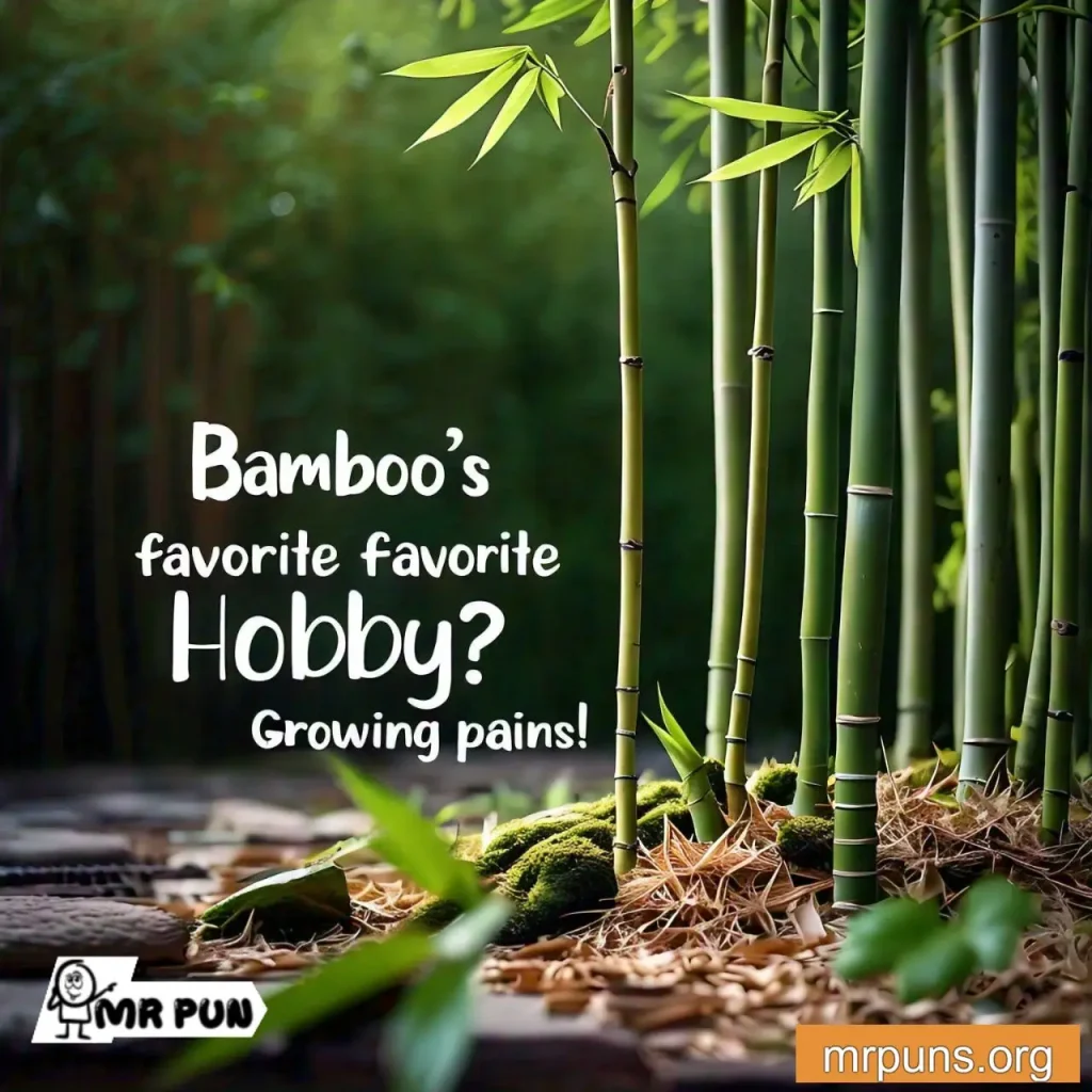 bamboo Plant Growth Puns