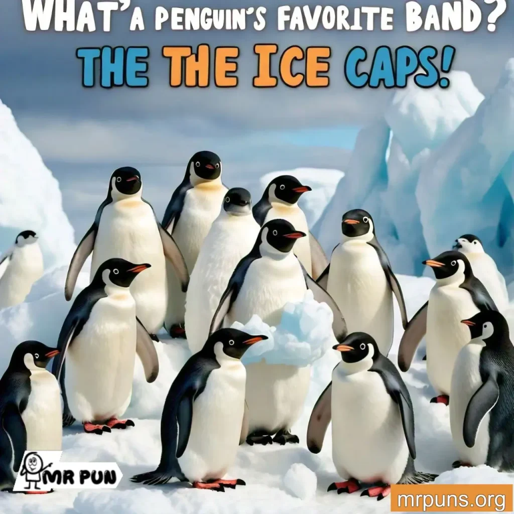 penguin Music Puns