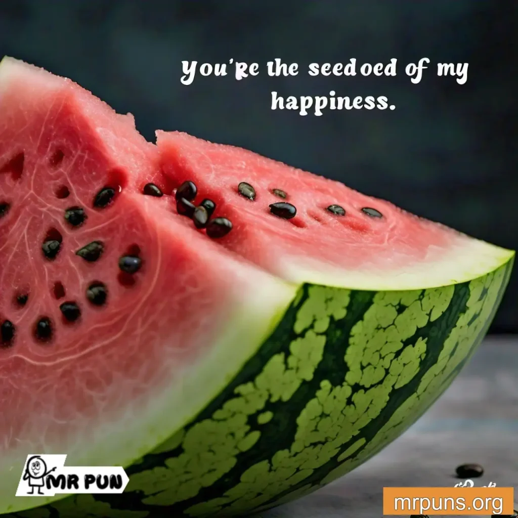 watermelon Seeds and Seedless pun